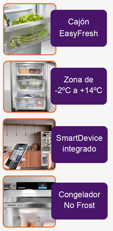 El21 scnsdc 525i 617 22 eu 03