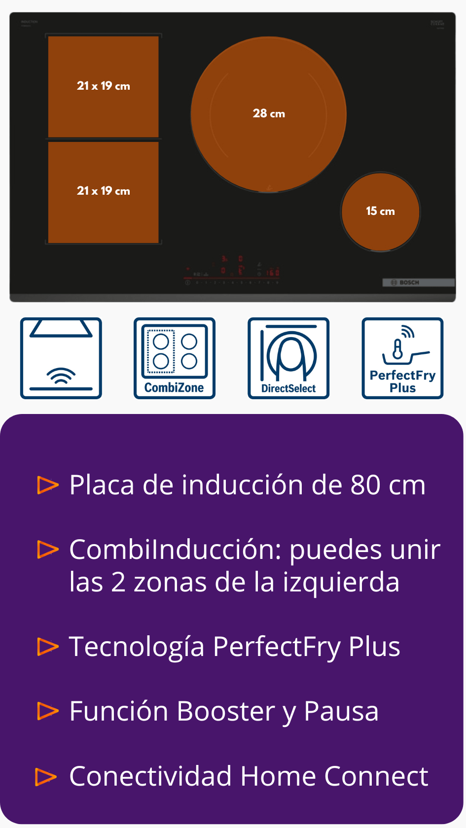 Pvs831hc1e ppal