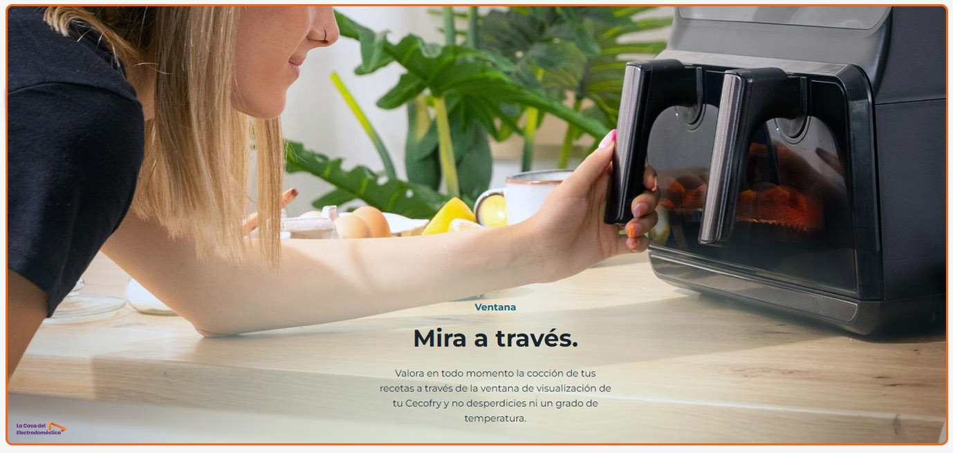 Cecofry advance 9000 00010